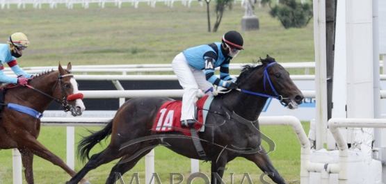 Domingo 21 de junio de 2020 - Hipódromo Nacional de Maroñas