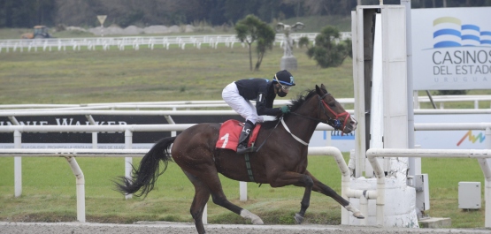 CLÁSICO GUZMAN VARGAS