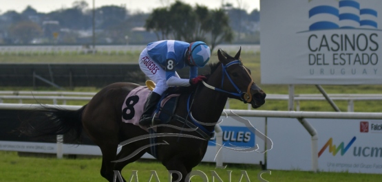 Domingo 28 de junio de 2020 - Hipódromo Nacional de Maroñas