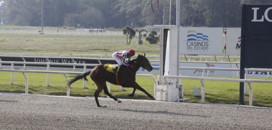 CLÁSICO GRAN PREMIO CRITERIUM (POTRANCAS)