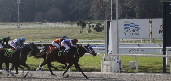 GRAN PREMIO GRAN CRITERIUM (POTRILLOS)