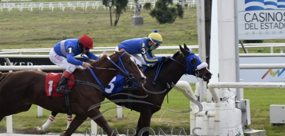 Sábado 4 de julio de 2020 - Hipódromo Nacional de Maroñas