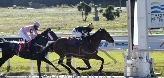 Domingo 5 de julio de 2020 - Hipódromo Nacional de Maroñas