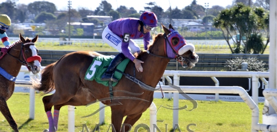 Sábado 11 de julio de 2020 - Hipódromo Nacional de Maroñas