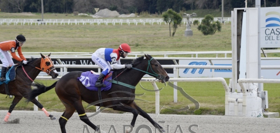 Domingo 12 de julio de 2020 - Hipódromo Nacional de Maroñas