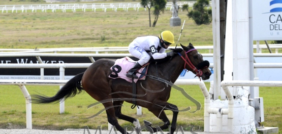 Domingo 19 de julio de 2020 - Hipódromo Nacional de Maroñas