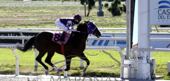 Sábado 25 de julio de 2020 - Hipódromo Nacional de Maroñas