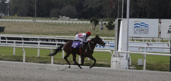 CLÁSICO PRODUCCIÓN NACIONAL