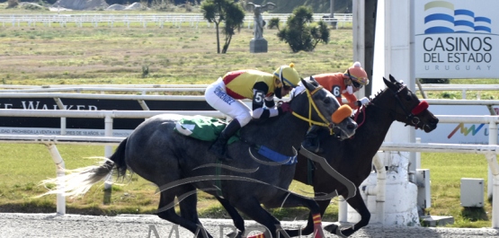 Sábado 1º de agosto de 2020 - Hipódromo Nacional de Maroñas