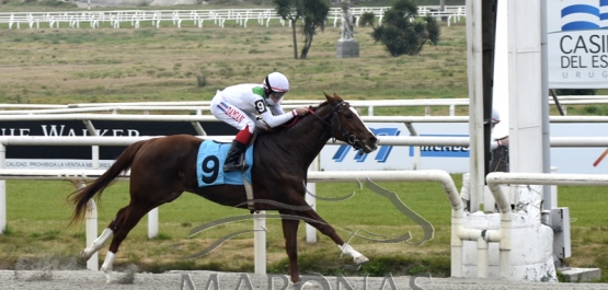 Domingo 2 de agosto de 2020 - Hipódromo Nacional de Maroñas