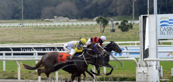 Sábado 8 de agosto de 2020 - Hipódromo Nacional de Maroñas