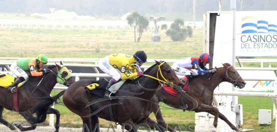 Domingo 9 de agosto de 2020 - Hipódromo Nacional de Maroñas