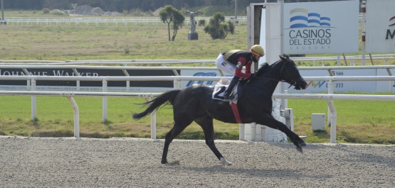 CLÁSICO RUFINO T. DOMINGUEZ