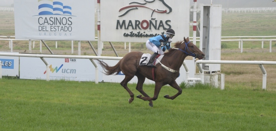 CLÁSICO HARAS DEL URUGUAY POTRILLOS