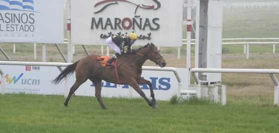 CLÁSICO HARAS DEL URUGUAY POTRANCAS