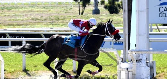 Sábado 15 de agosto de 2020 - Hipódromo Nacional de Maroñas