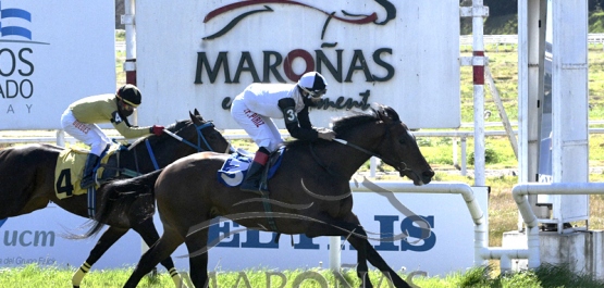 Domingo 16 de agosto de 2020 - Hipódromo Nacional de Maroñas