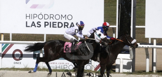 Lunes 24 de agosto de 2020 - Hipódromo Las Piedras