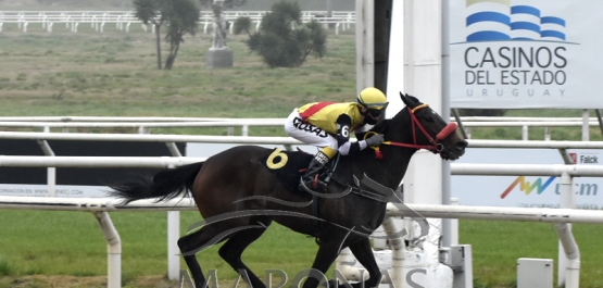 Sábado 29 de agosto de 2020 - Hipódromo Nacional de Maroñas