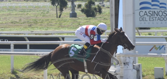 Domingo 30 de agosto de 2020 - Hipódromo Nacional de Maroñas