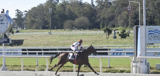 GRAN PREMIO POLLA DE POTRANCAS