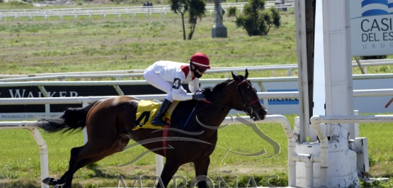 Domingo 6 de setiembre de 2020 - Hipódromo Nacional de Maroñas