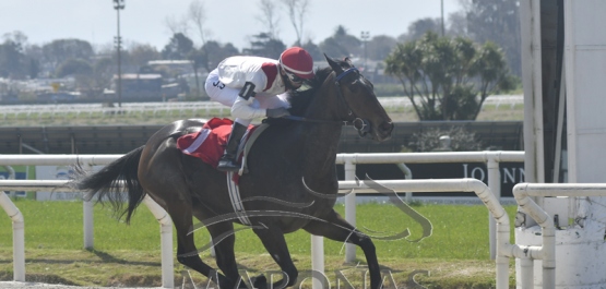 Domingo 13 de setiembre de 2020 - Hipódromo Nacional de Maroñas