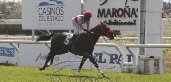 Sábado 19 de setiembre de 2020 - Hipódromo Nacional de Maroñas