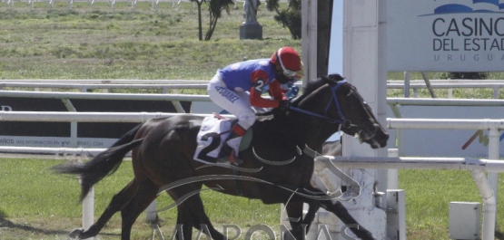 Domingo 20 de setiembre de 2020 - Hipódromo Nacional de Maroñas