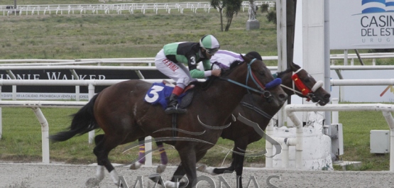 Viernes 25 de setiembre de 2020 - Hipódromo Nacional de Maroñas