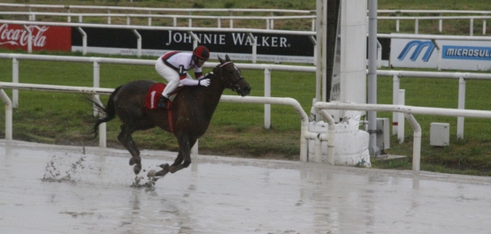 GRAN PREMIO SELECCIÓN