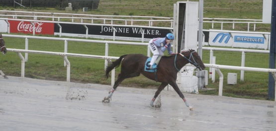 GRAN PREMIO JOCKEY CLUB