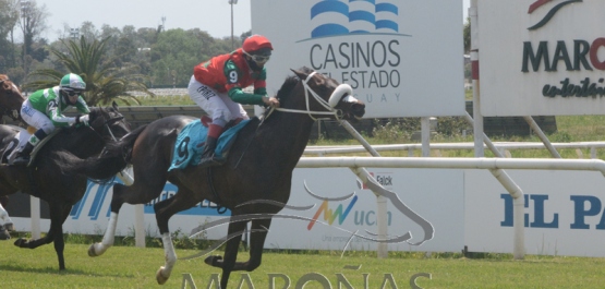 Sábado 17 de octubre de 2020 - Hipódromo Nacional de Maroñas