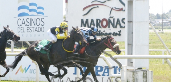 Domingo 18 de octubre de 2020 - Hipódromo Nacional de Maroñas