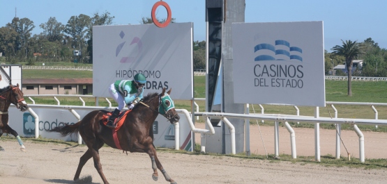 GRAN PREMIO DE HONOR