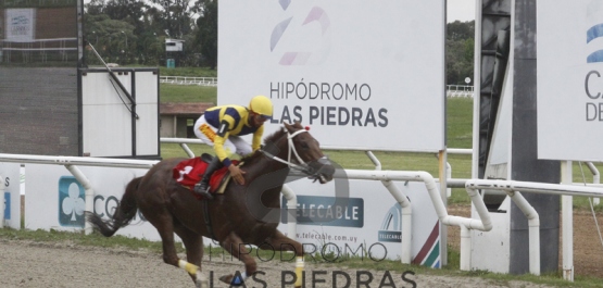 Viernes 23 de octubre de 2020 - Hipódromo Las Piedras