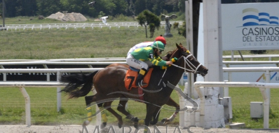 Sábado 24 de octubre de 2020 - Hipódromo Nacional de Maroñas