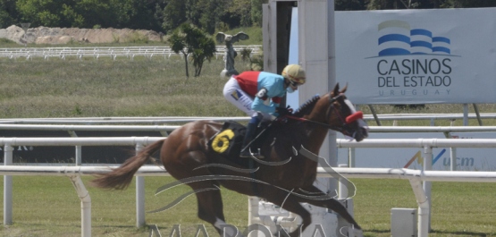 Sábado 31 de octubre de 2020 - Hipódromo Nacional de Maroñas