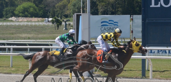 Domingo 1º de noviembre de 2020 - Hipódromo Nacional de Maroñas