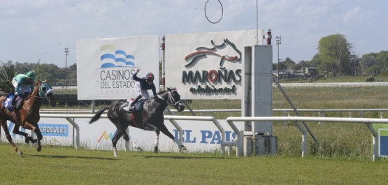 CLÁSICO CARLOS PELLEGRINI