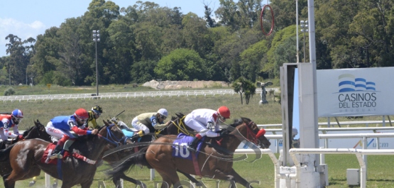 Domingo 8 de noviembre de 2020 - Hipódromo Nacional de Maroñas