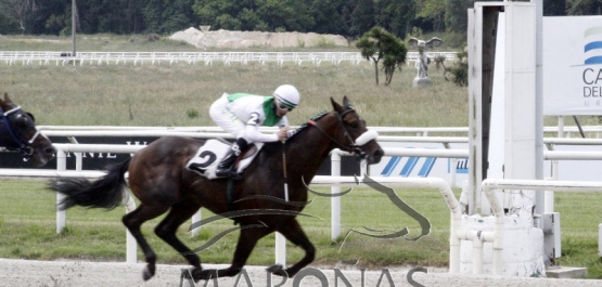 Sábado 14 de noviembre de 2020 - Hipódromo Nacional de Maroñas