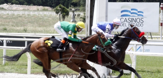 Domingo 15 de noviembre de 2020 - Hipódromo Nacional de Maroñas