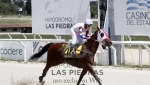 Reunión No.39  - Hipódromo Las Piedras