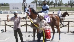 Reunión No.39  - Hipódromo Las Piedras