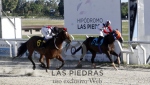 Reunión No.39  - Hipódromo Las Piedras