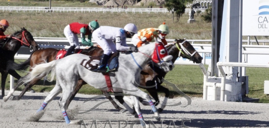 Domingo 22 de noviembre de 2020 - Hipódromo Nacional de Maroñas