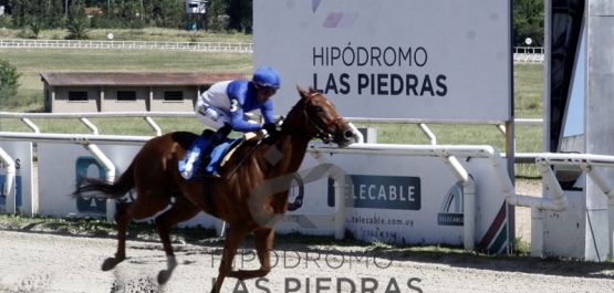 Viernes 27 de noviembre de 2020 - Hipódromo Las Piedras