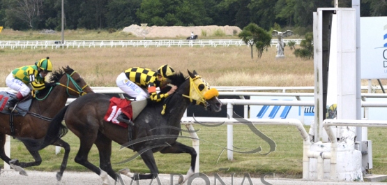 Sábado 28 de noviembre de 2020 - Hipódromo Nacional de Maroñas