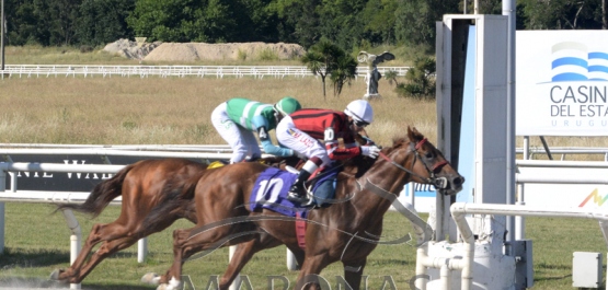 Domingo 29 de noviembre de 2020 - Hipódromo Nacional de Maroñas